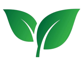 https://jdcsite.vyugamgroup.com/admin/uploads/logos/leaf_logo.png